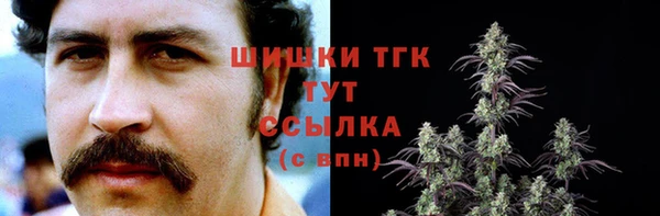 ешки Богданович