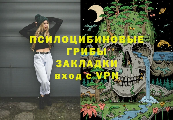 ешки Богданович