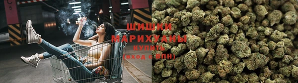 ешки Богданович
