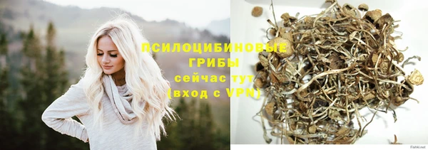 a pvp Богородск